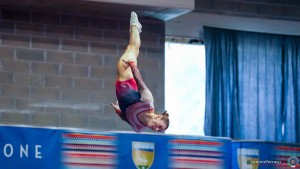 q sfe03966 copia simone ferraro ph copia